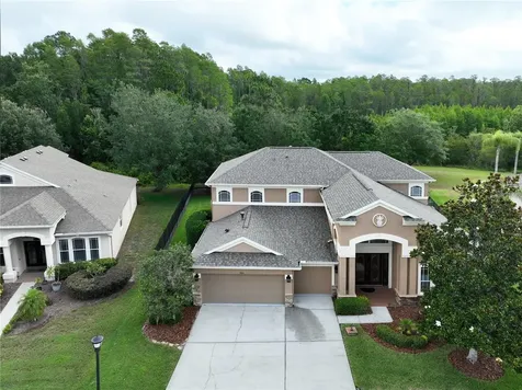 8816 Crystal Creek Court Land O Lakes FL 34638