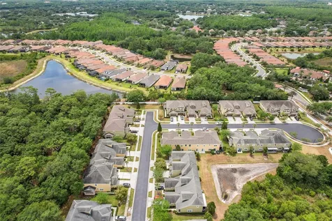 8522 Broken Willow Court Tampa FL 33647