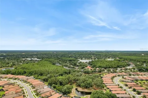8522 Broken Willow Court Tampa FL 33647