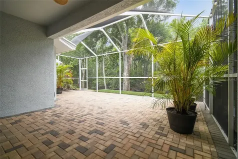 7243 Cleopatra Drive Land O Lakes FL 34637