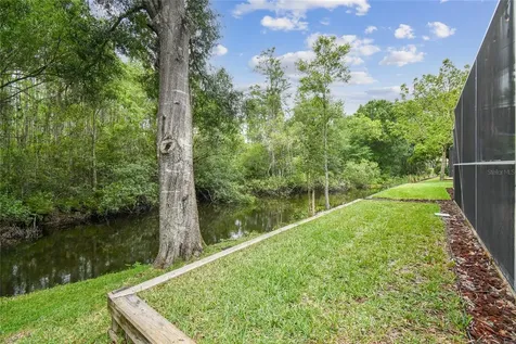7243 Cleopatra Drive Land O Lakes FL 34637