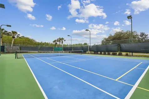 7243 Cleopatra Drive Land O Lakes FL 34637