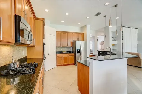 11616 Bristol Chase Drive Tampa FL 33626