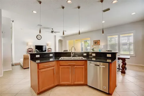 11616 Bristol Chase Drive Tampa FL 33626