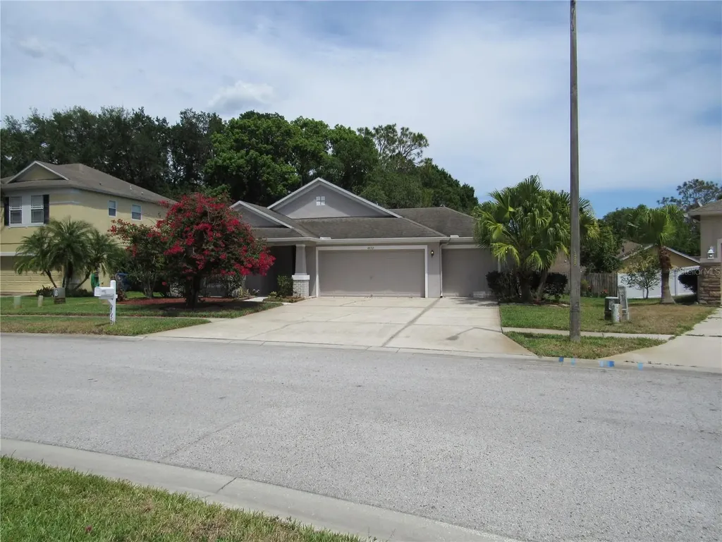 4652 Braesgate Court Land O Lakes FL 34639