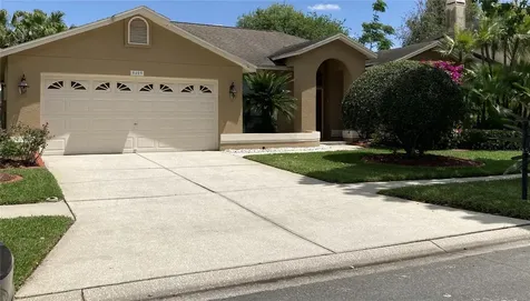 9409 Larkbunting Drive Tampa FL 33647