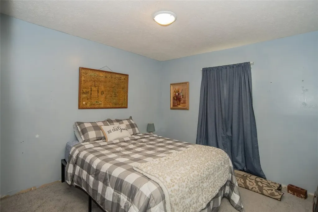 3736 Lado Drive Wesley Chapel FL 33543