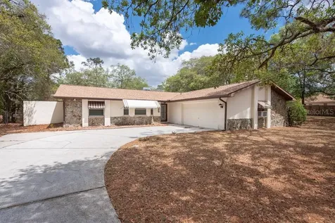 16551 Fringe Tree Drive Spring Hill FL 34610