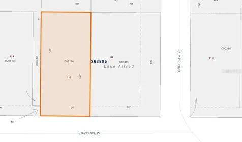 325 W Davis Avenue Lake Alfred FL 33850