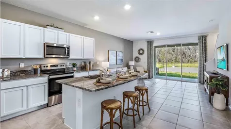 1336 Colt Creek Place Wesley Chapel FL 33543
