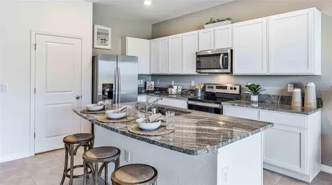 1336 Colt Creek Place Wesley Chapel FL 33543