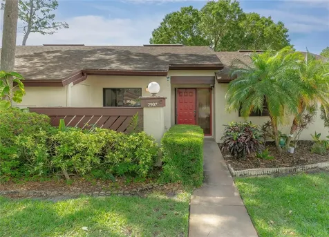 2907 Boxwood Court Palm Harbor FL 34684