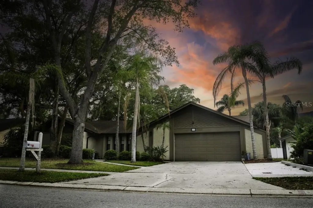 197 Winding Willow Drive Palm Harbor FL 34683