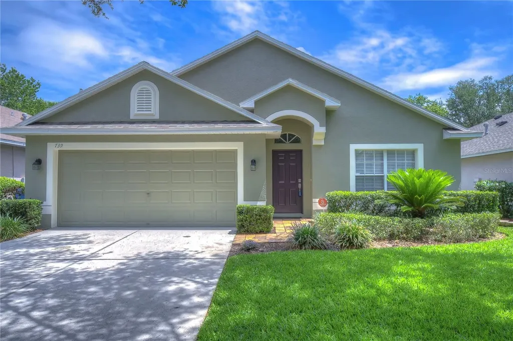 739 Straw Lake Drive Brandon FL 33510