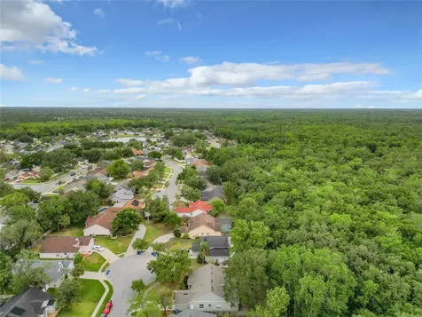 2472 Tommys Turn Oviedo FL 32766
