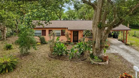 173 Pine Street Lake Mary FL 32746