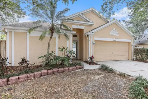 26903 Carla Place Lutz FL 33559