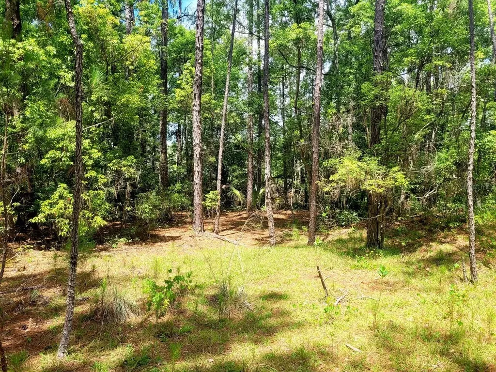 Tbd Tropical Drive Eustis FL 32726