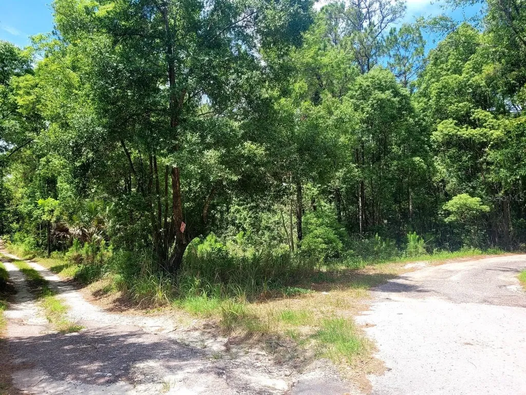 Tbd Tropical Drive Eustis FL 32726