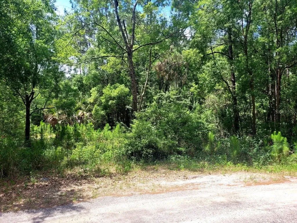Tbd Tropical Drive Eustis FL 32726