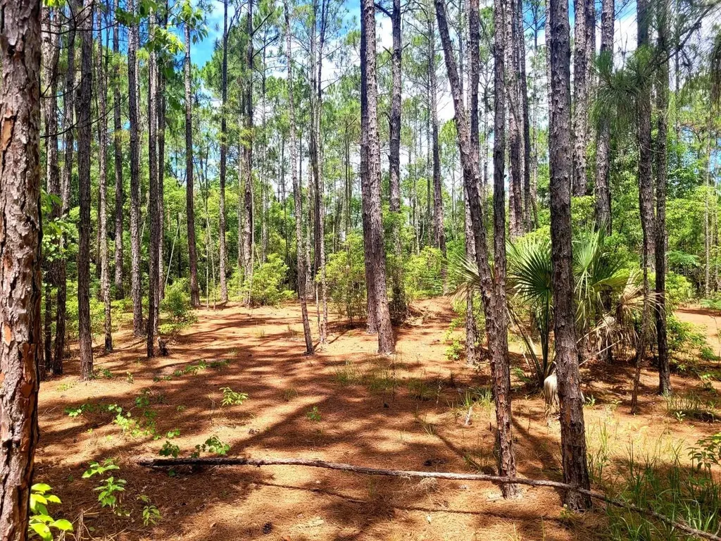 Tbd Tropical Drive Eustis FL 32726