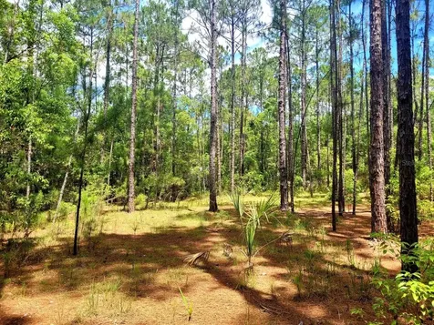 Tbd Tropical Drive Eustis FL 32726