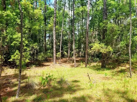 Tbd Tropical Drive Eustis FL 32726