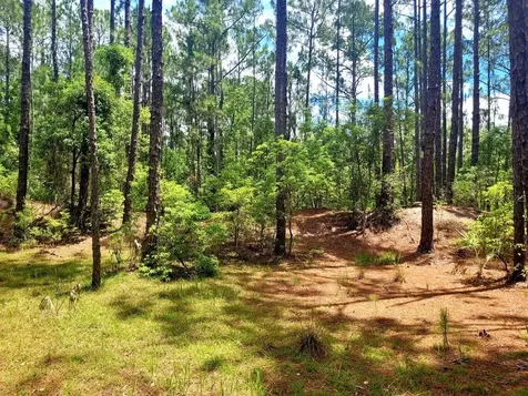Tbd Tropical Drive Eustis FL 32726