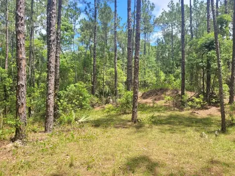 Tbd Tropical Drive Eustis FL 32726