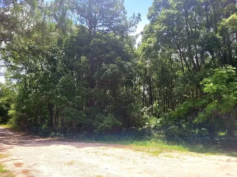 Tbd Tropical Drive Eustis FL 32726
