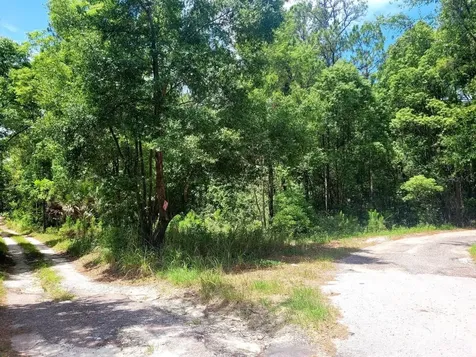 Tbd Tropical Drive Eustis FL 32726