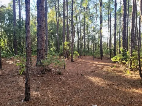 Tbd Tropical Drive Eustis FL 32726