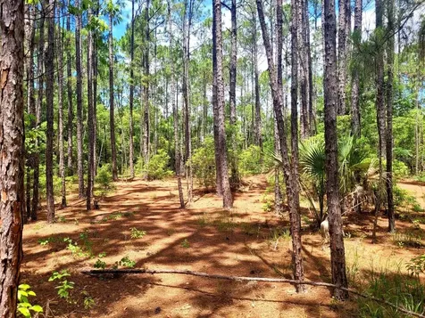 Tbd Tropical Drive Eustis FL 32726