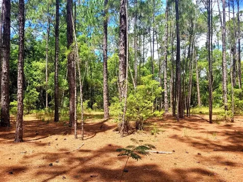 Tbd Tropical Drive Eustis FL 32726