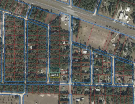 NE 139th Terrace Williston FL 32696