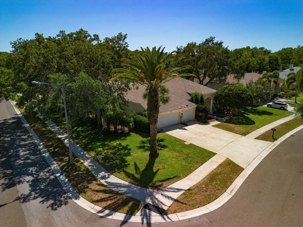 4613 Bardsdale Drive Palm Harbor FL 34685