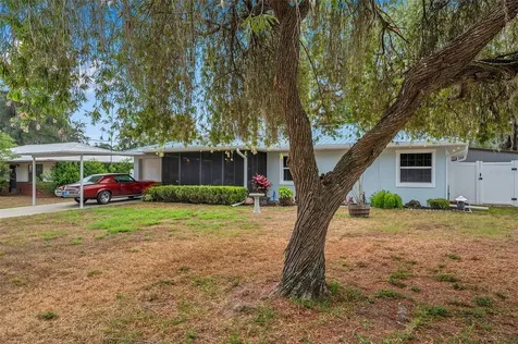 1161 Cr 463 Lake Panasoffkee FL 33538