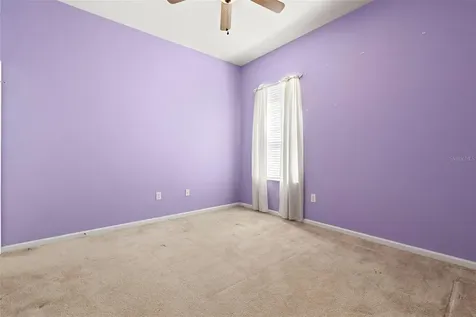 20819 Orchardtown Drive Land O Lakes FL 34638