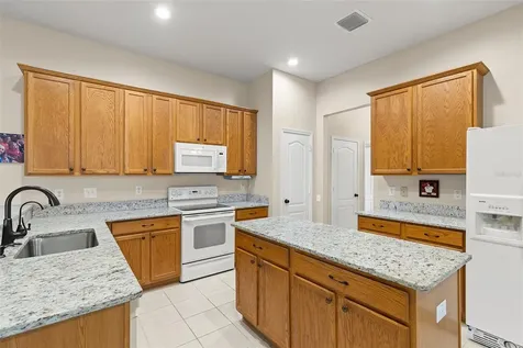 20819 Orchardtown Drive Land O Lakes FL 34638