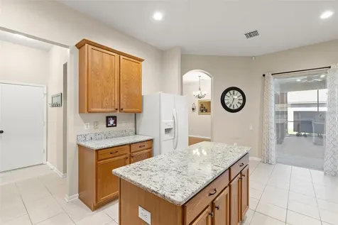 20819 Orchardtown Drive Land O Lakes FL 34638