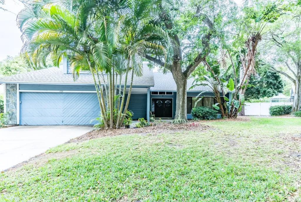 1733 Pine Hill Court Safety Harbor FL 34695