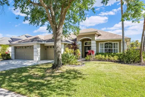 10718 Tavistock Drive Tampa FL 33626