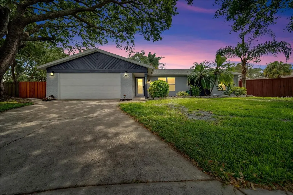 1317 Borden Court Valrico FL 33594