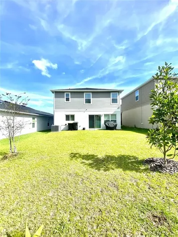 1096 Papaya Circle Davenport FL 33897