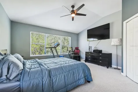 11111 Windsor Place Circle Tampa FL 33626