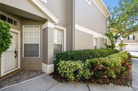 11111 Windsor Place Circle Tampa FL 33626