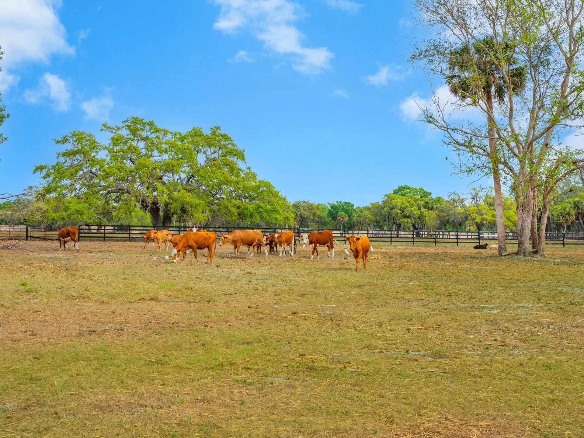 396014400 Venice FL 34292