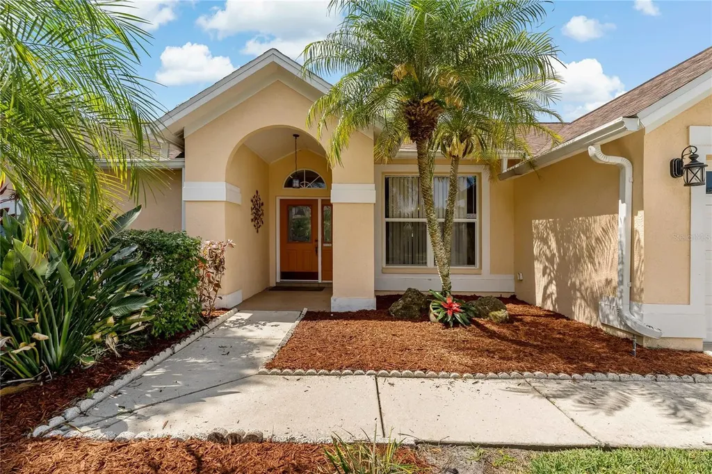 9221 Rockrose Drive Tampa FL 33647