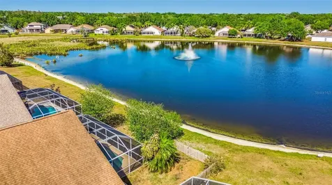 16413 Lake Heather Drive Tampa FL 33618