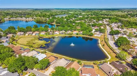 16413 Lake Heather Drive Tampa FL 33618